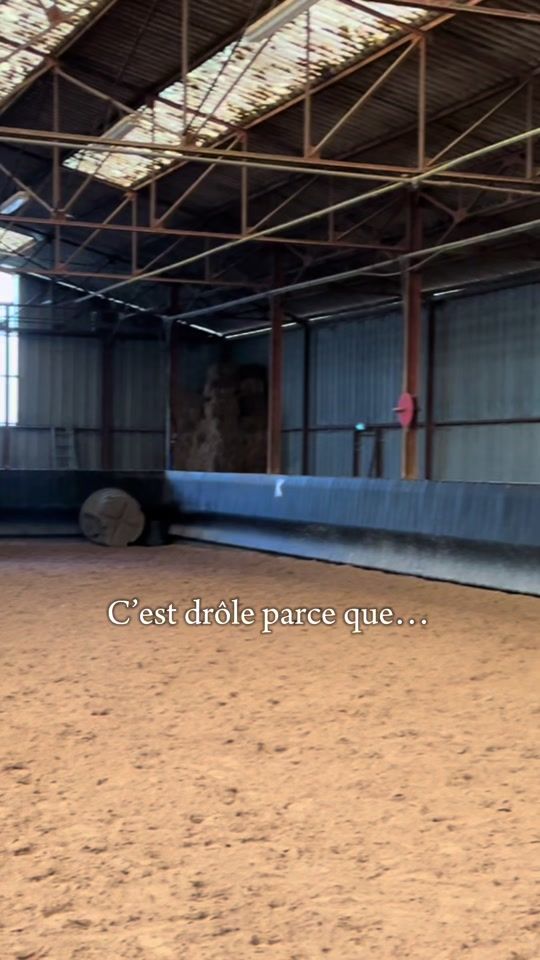 TikTok video thumbnail by bello_croco