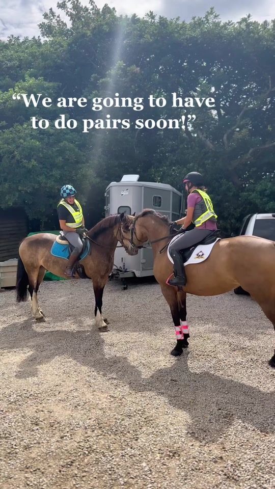 TikTok video thumbnail by horseandcountry