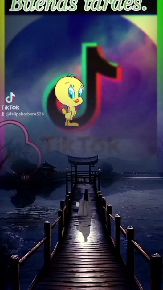 TikTok video thumbnail by felipebarbero536