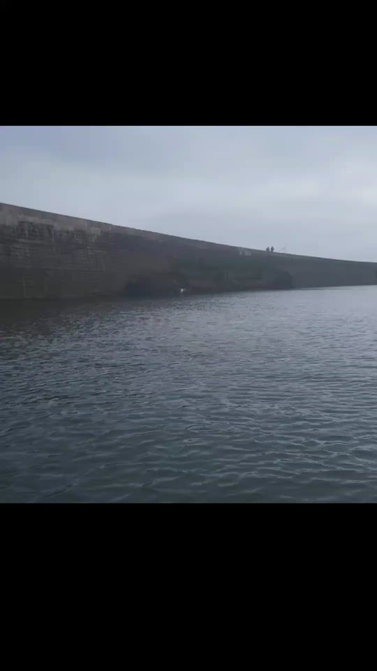 TikTok video thumbnail by jeffthomasfrench