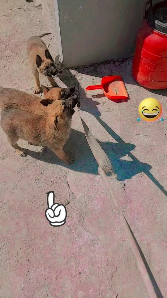 TikTok video thumbnail by karimtantour