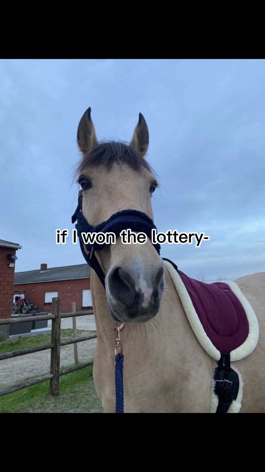 TikTok video thumbnail by lieselotverbeeke