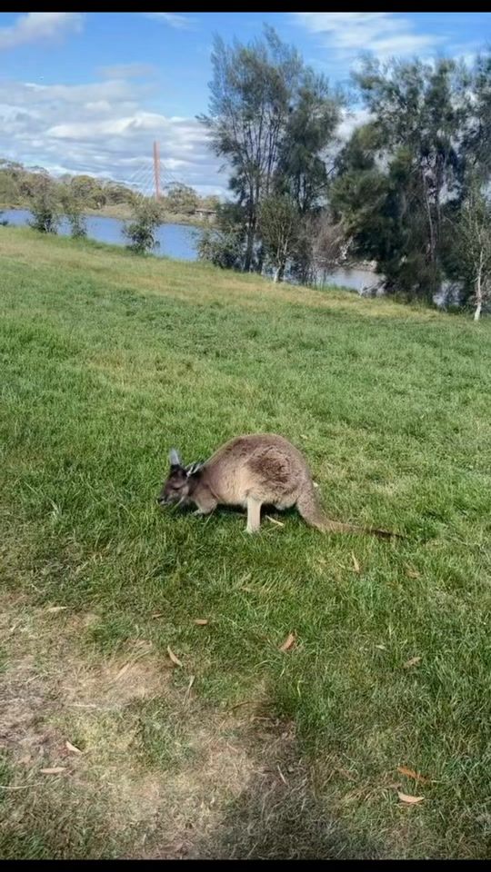 TikTok video thumbnail by travel_with_engel