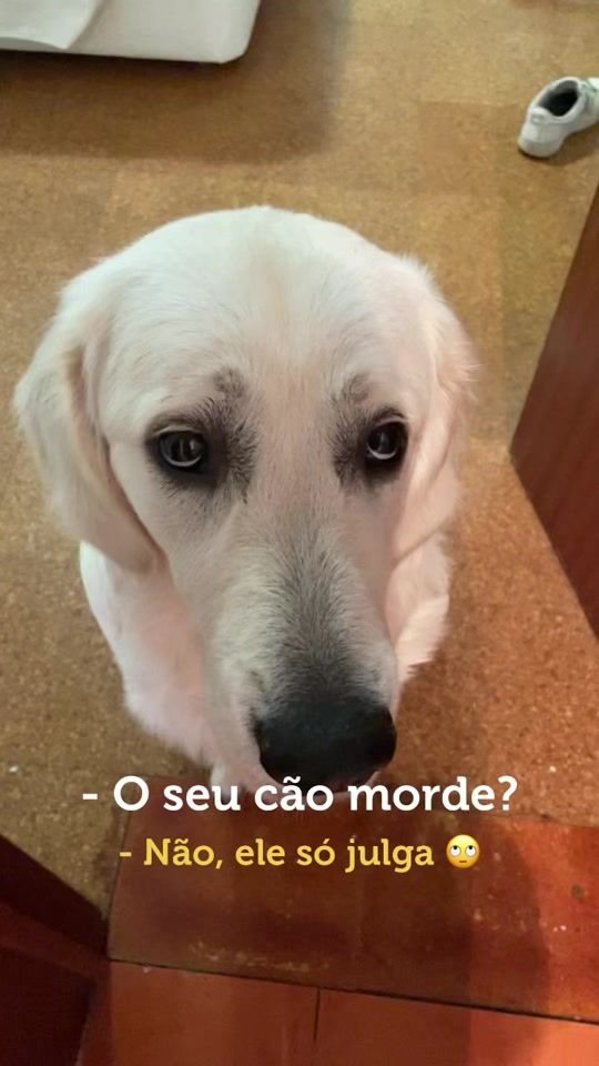 TikTok video thumbnail by saralindasc