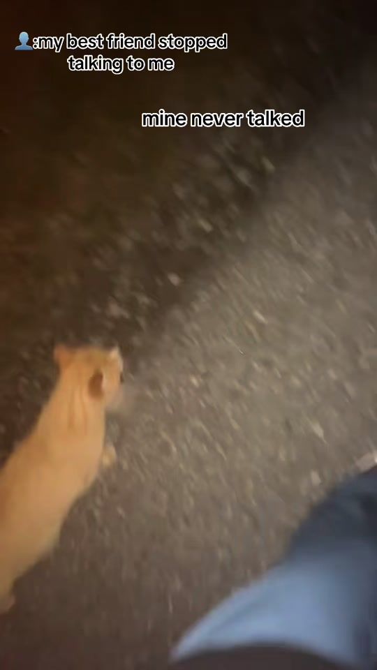 TikTok video thumbnail by alina_bhe
