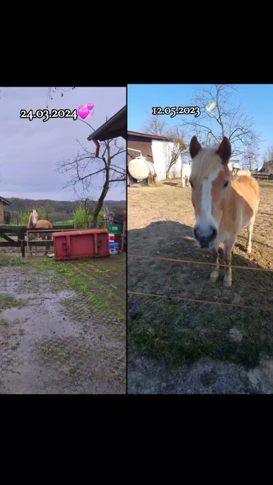 TikTok video thumbnail by bella.lini