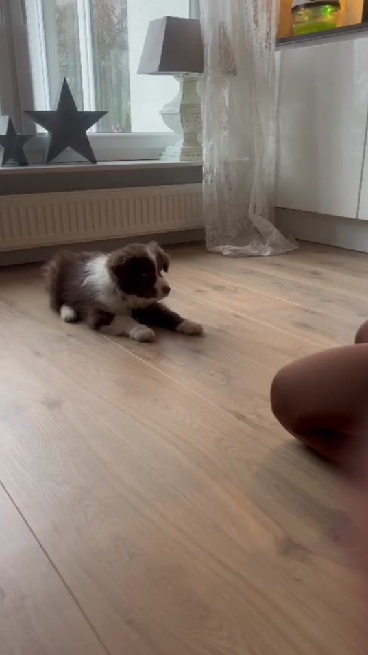 TikTok video thumbnail by kaami191023