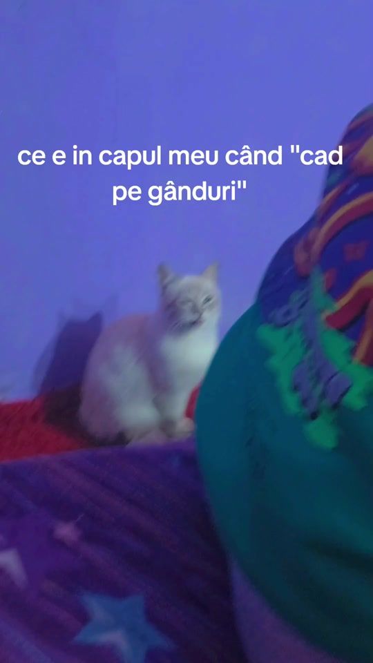 TikTok video thumbnail by john.noir.11.11