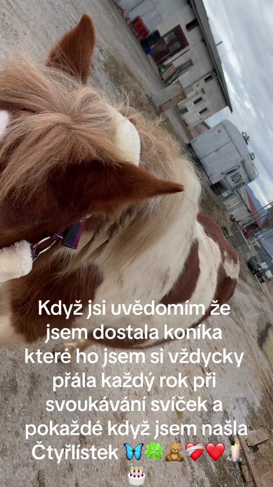 TikTok video thumbnail by elza_a_ja