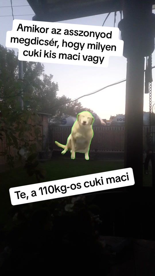 TikTok video thumbnail by nagynimrod98