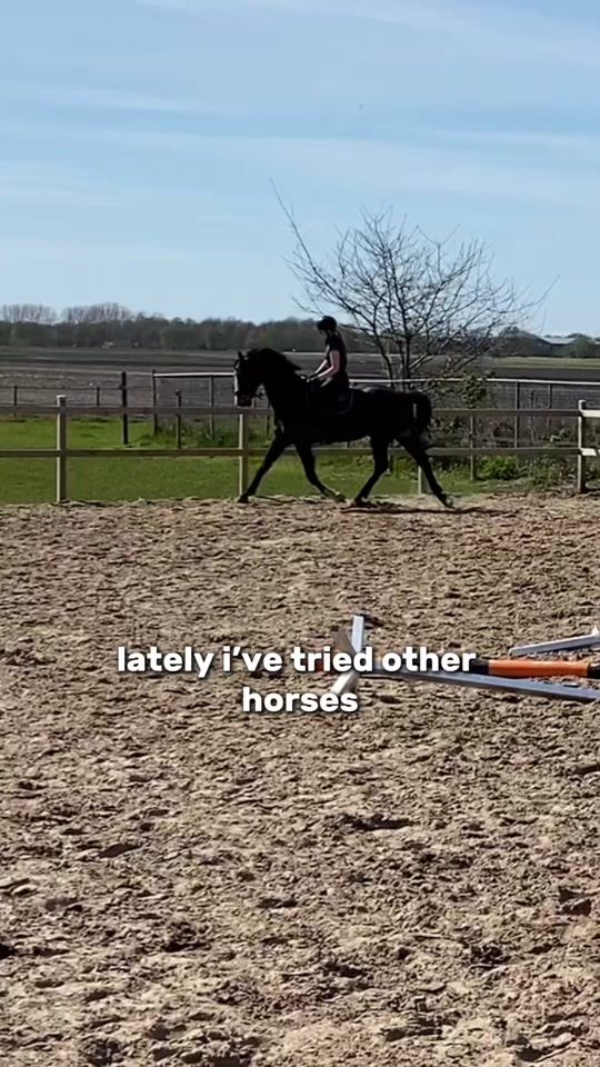 TikTok video thumbnail by bsv.horses