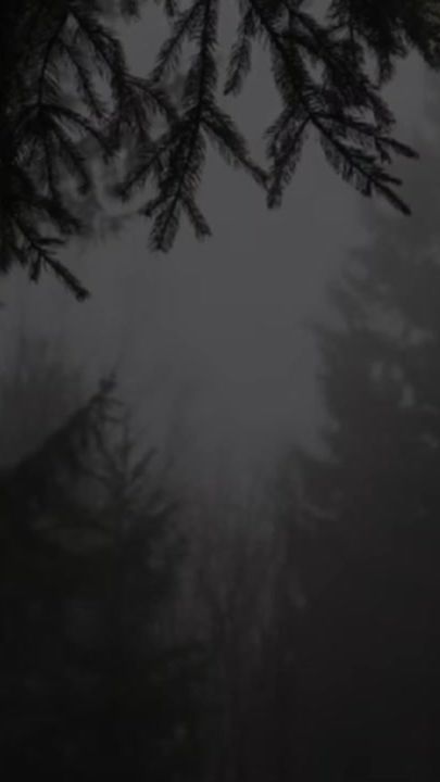 TikTok video thumbnail by torott_pillango