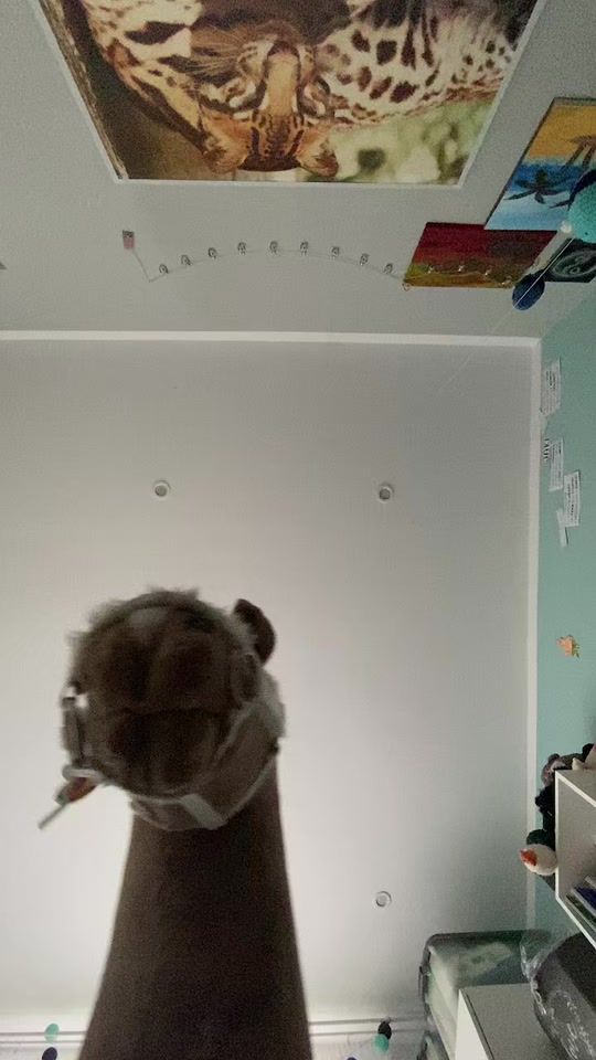 TikTok video thumbnail by kht_pluto7
