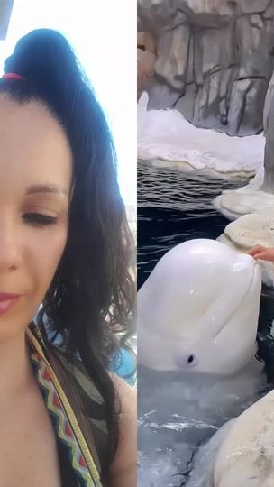 TikTok video thumbnail by lavendetadelvampiro73