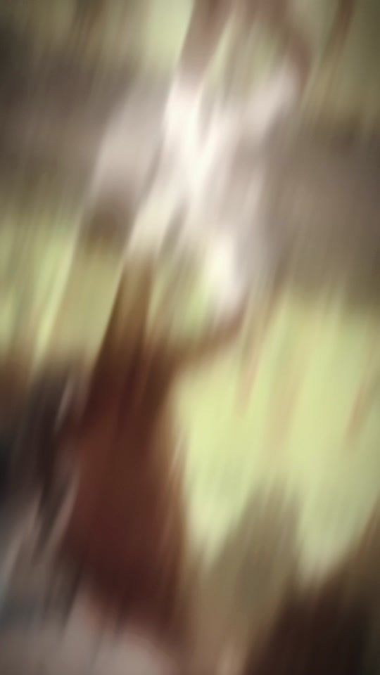 TikTok video thumbnail by horses9886