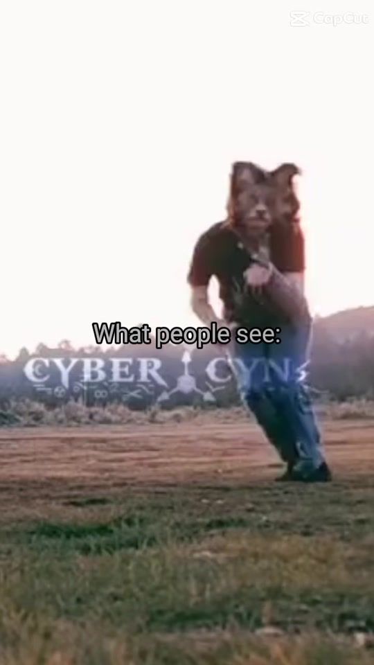 TikTok video thumbnail by therianuser1