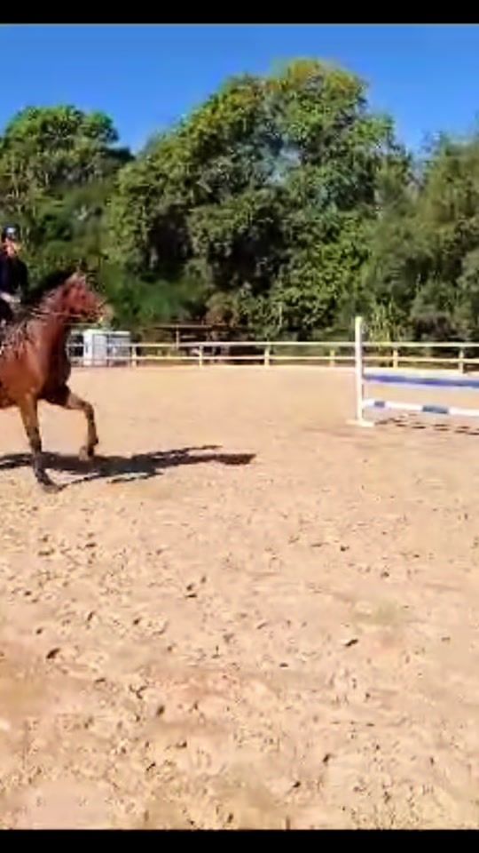 TikTok video thumbnail by manonlaffont