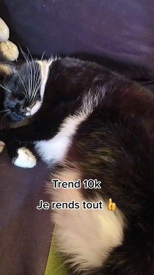 TikTok video thumbnail by michelm69