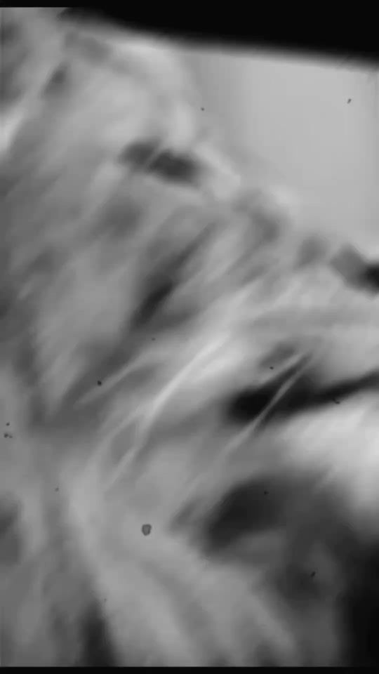 TikTok video thumbnail by elenaema7