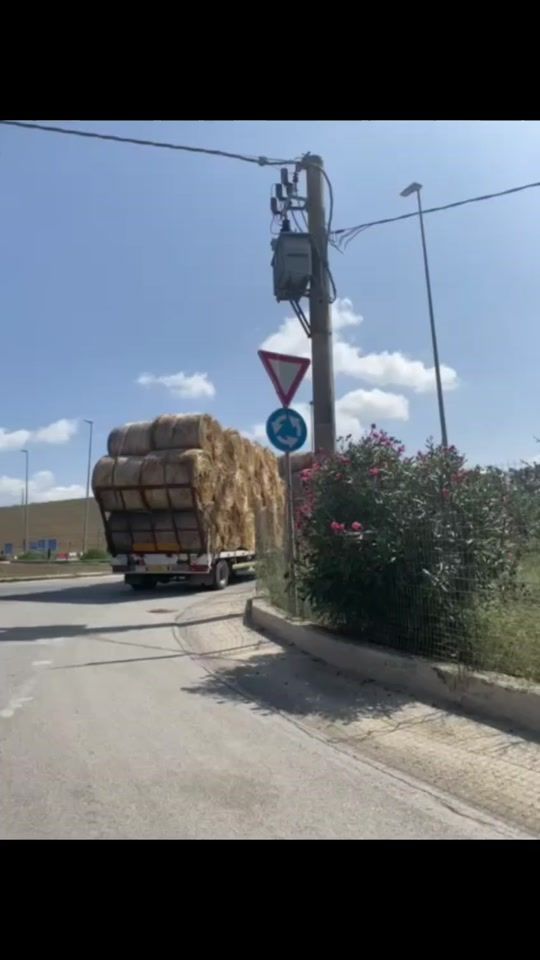 TikTok video thumbnail by nicosia.francesco4