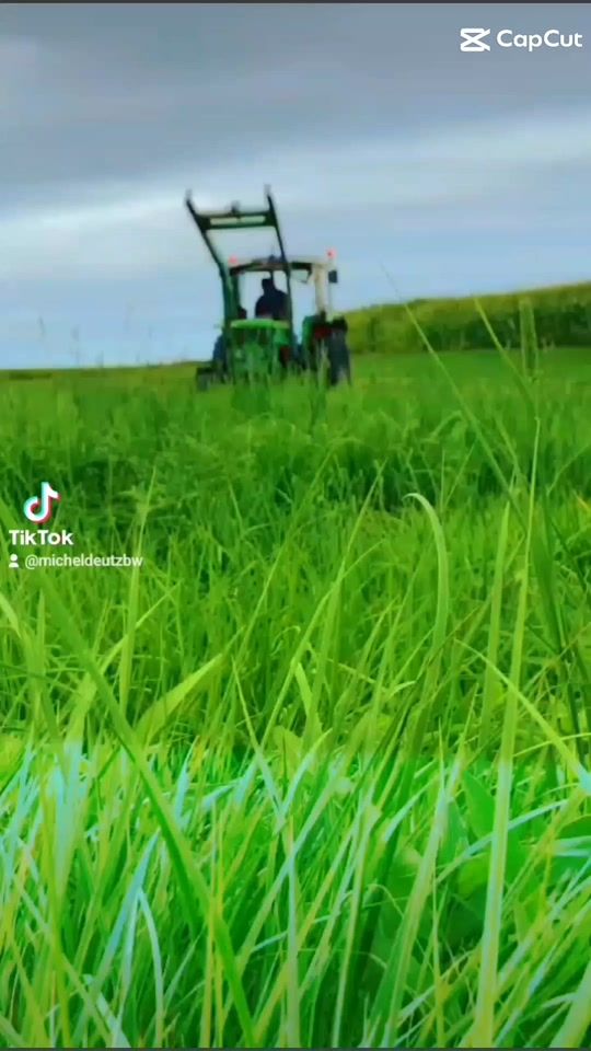 TikTok video thumbnail by micheldeutzbw