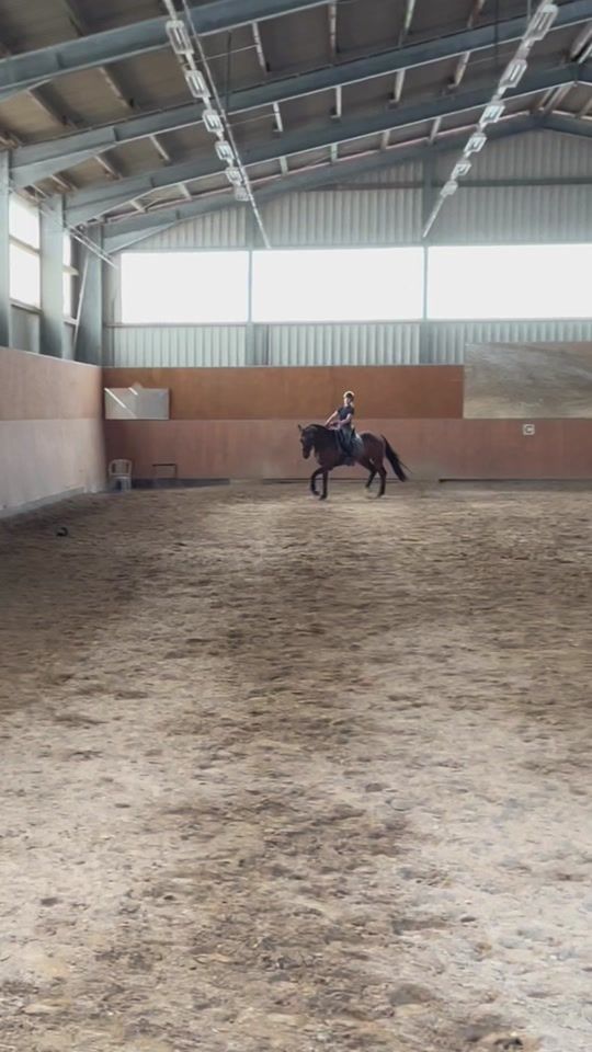 TikTok video thumbnail by dressurteam.ff