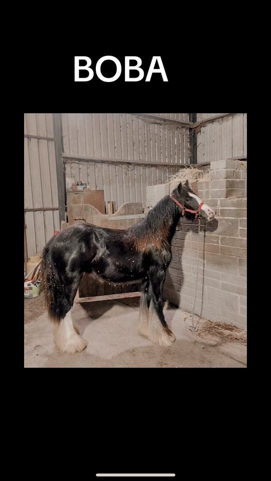 TikTok video thumbnail by eddie__02