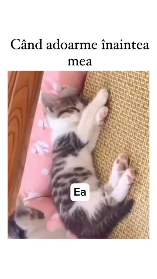 TikTok video thumbnail by radiosimpluro