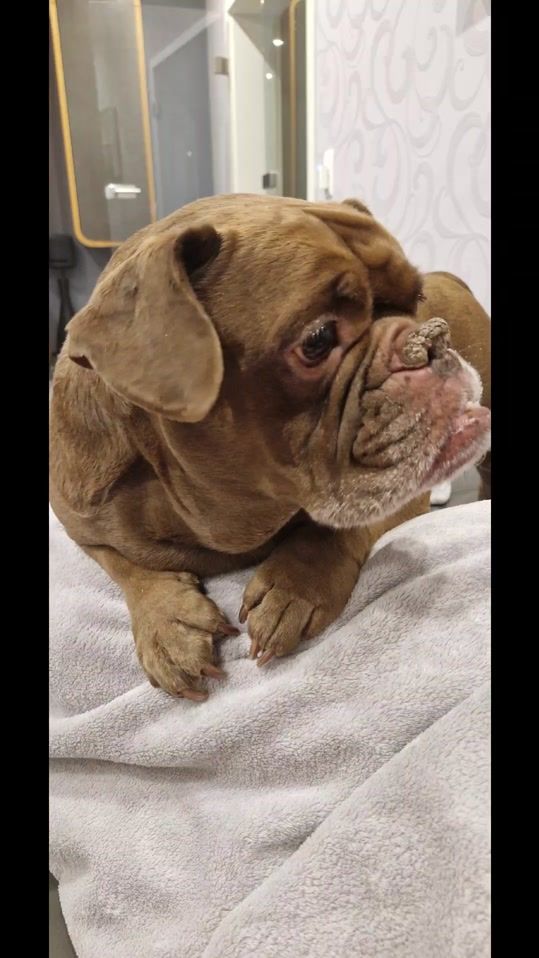 TikTok video thumbnail by ryzex01