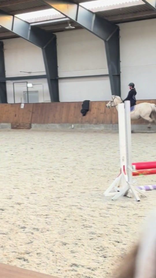 TikTok video thumbnail by l.equestriann1