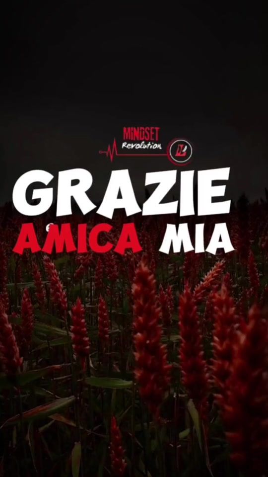 TikTok video thumbnail by lezioniimportanti