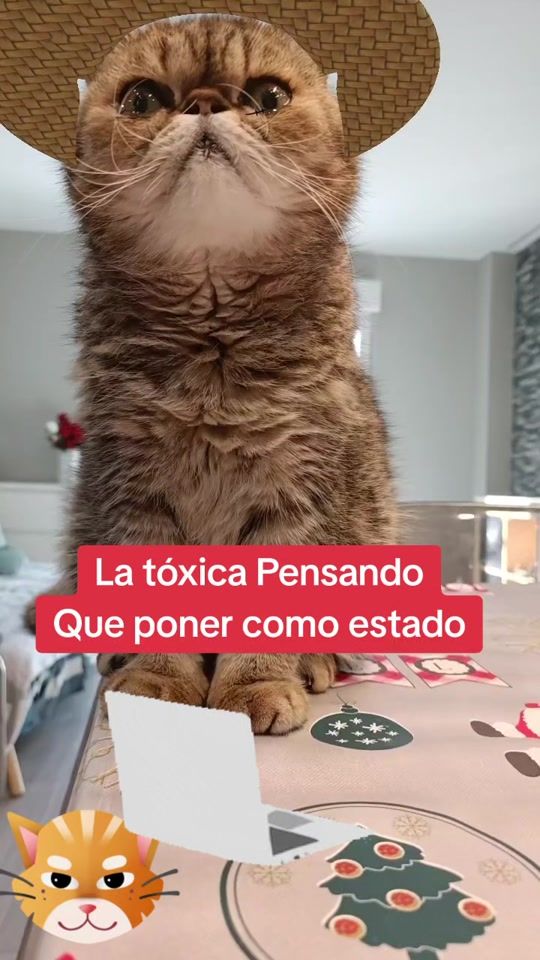 TikTok video thumbnail by capusa70