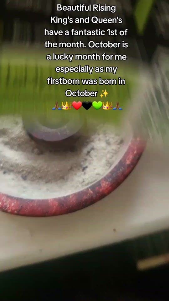 TikTok video thumbnail by mosthighfoods