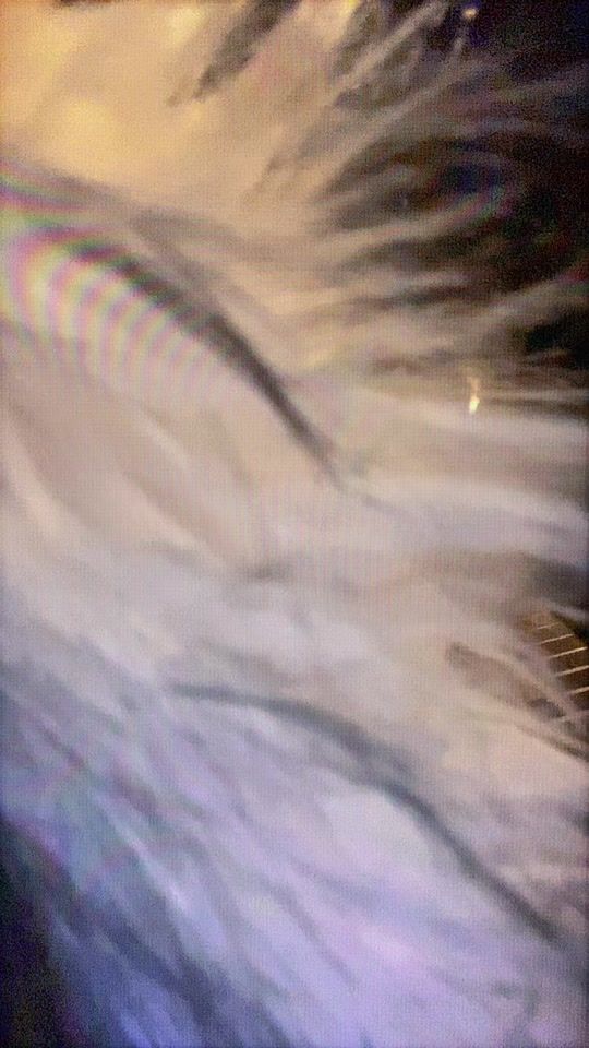 TikTok video thumbnail by pnl.italia