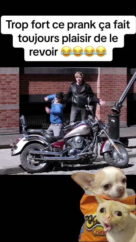 TikTok video thumbnail by piwi_16