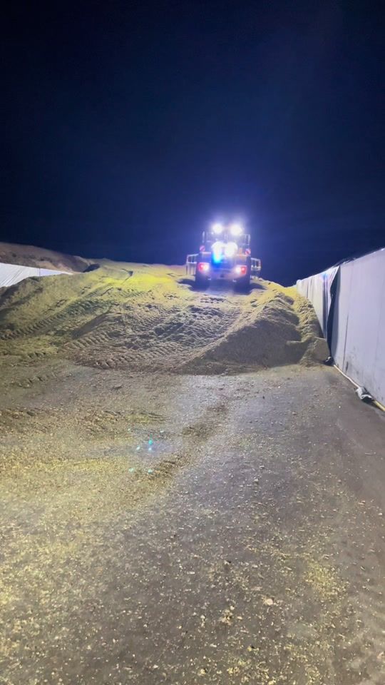 TikTok video thumbnail by jonas14550