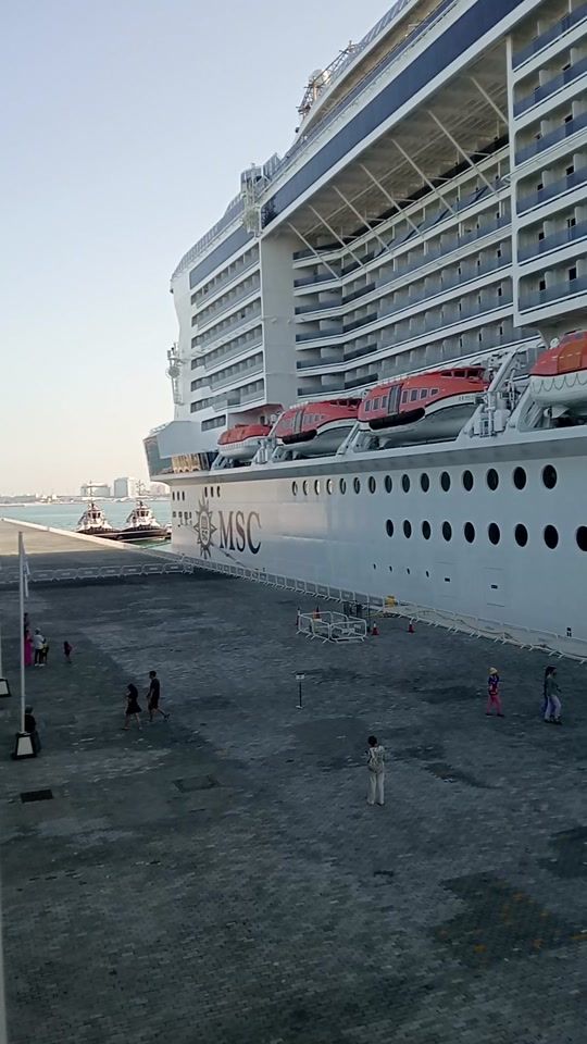 TikTok video thumbnail by pignottiandrea99