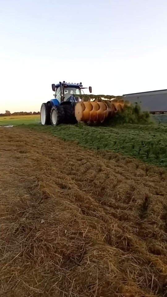TikTok video thumbnail by rickkemans