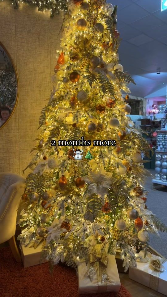 TikTok video thumbnail by .christmascountdown52