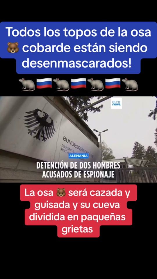 TikTok video thumbnail by graneuropa