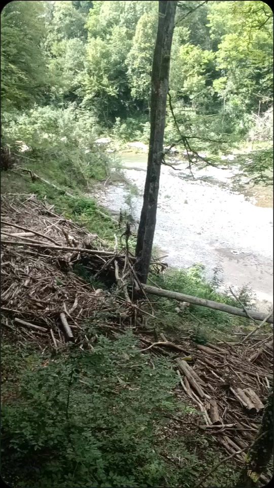 TikTok video thumbnail by coconut_zep