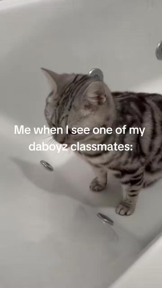 TikTok video thumbnail by ateigemygoodbye