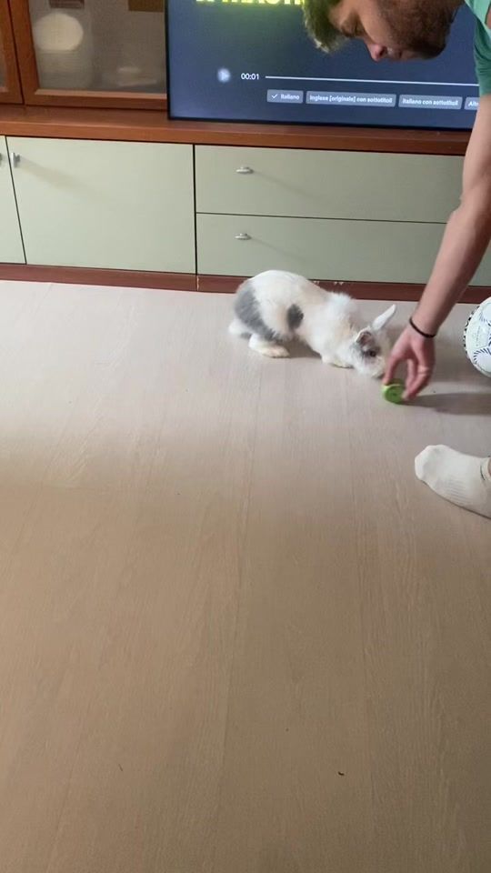TikTok video thumbnail by lolachoco