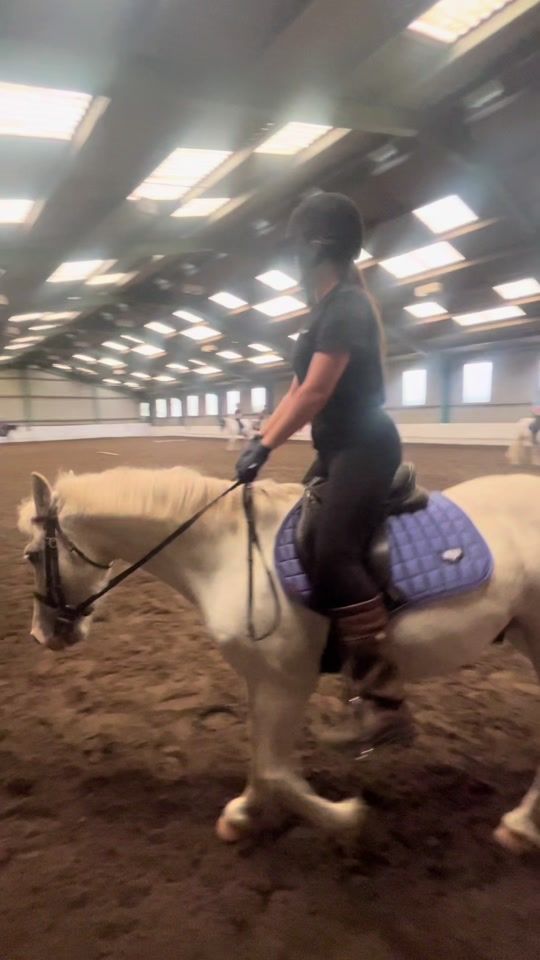 TikTok video thumbnail by equestrian_life89