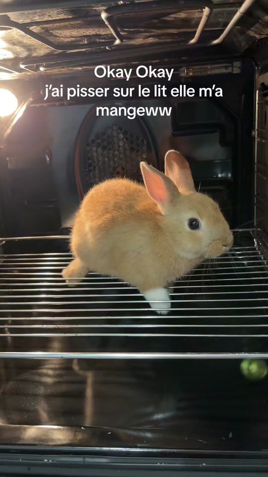 TikTok video thumbnail by may_2b