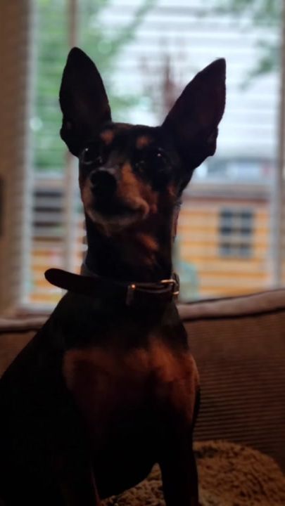 TikTok video thumbnail by evyyy033