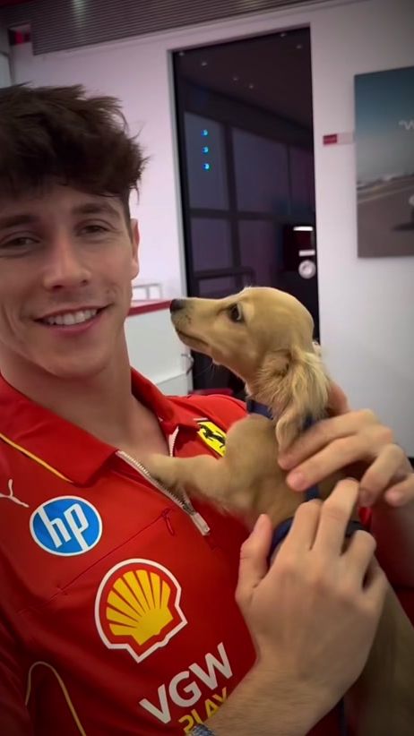 TikTok video thumbnail by formula1_fanx