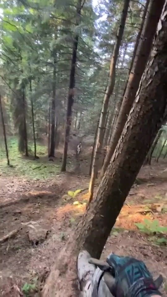 TikTok video thumbnail by bielskiiiiii