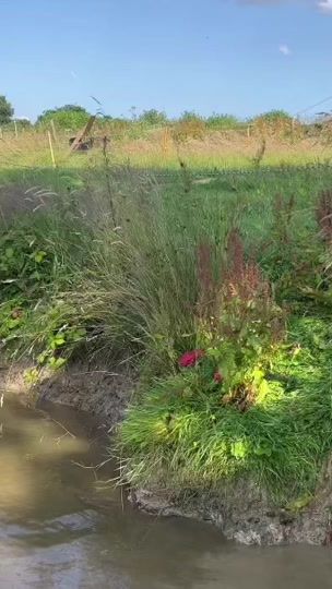 TikTok video thumbnail by keiras_stables