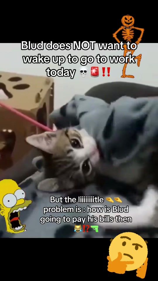 TikTok video thumbnail by blud.being.blud